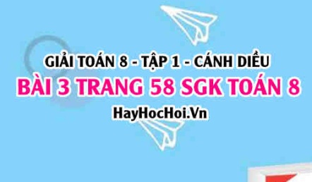 Giải bài 3 trang 58 Toán 8 Tập 1 SGK Cánh Diều